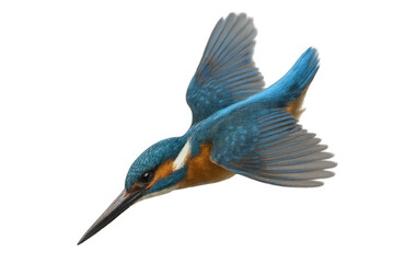 Vibrant kingfisher soaring, brilliant blue-orange feathers gleaming against soft, blurred background