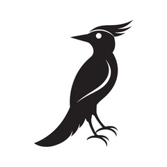 Woodpecker With Decorative Feathers Design