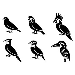 Fototapeta premium Svg vector silhouette vector art of various bird silhouettes are displayed isolated on white background