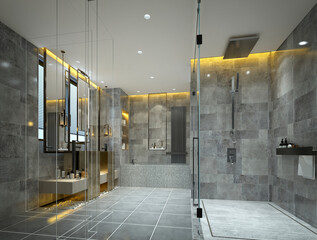 3d render luxury bathroom WC interior