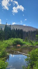mountain lake in the mountains