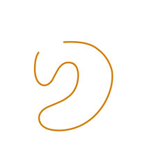 hand drawn organic lines