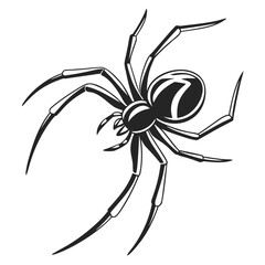 Black and White Vector Illustration of a Realistic Creepy Spider