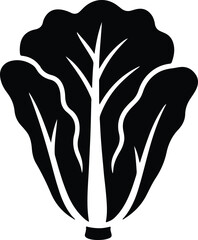 Silhouette Lettuce head dark green healthy organic vector Illustrator