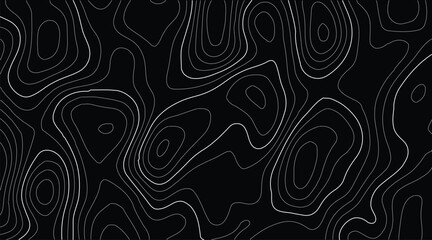 Topography natural elevation drawing in detailed line art style, capturing geographic landforms with vintage accuracy for use in environmental branding, trail maps, and outdoor gear promotion.