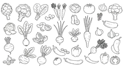 Fresh Vegetables Line Art Drawing Broccoli Carrots Beets Garlic Artichokes Peppers