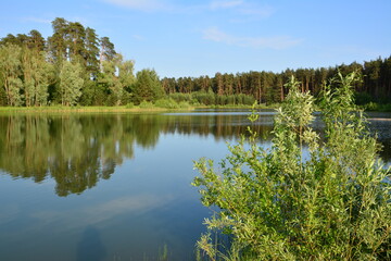 Lakeside Serenity Reflections of Trees and Blue Sky nature background