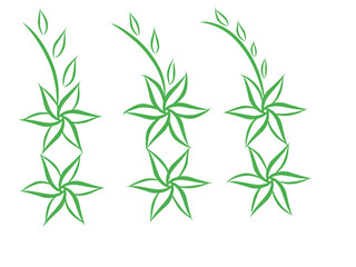 Vector flower illustration 