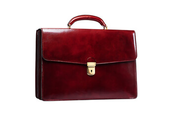 High quality, elegant red leather briefcase. Business, professional, success.