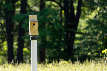 Wooden Birdhouse in a Meadow