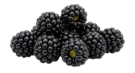 Fresh blackberries close up image of ripe blackberry fruit for healthy eating and delicious dessert ideas