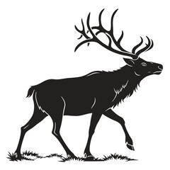 Graceful elk strides forward; imposing antlers silhouette powerfully against a transparent backdrop showing wildlife presence