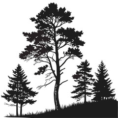 Several evergreen trees stand against a bright white background, their silhouettes crisp and bold