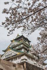 Fototapeta premium Osaka Castle in Japan, viewed from below with cherry blossoms in the foreground. The castle's intricate details and the delicate pink flowers create a stunning contrast. A picturesque spring scene.