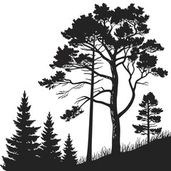 Tall pine and evergreen trees silhouette on grass hill create a dense forest scene