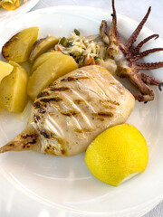 Grilled Calamari with Potatoes, Salad. seafood plate