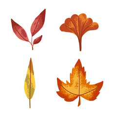 Set of maple and ginkgo dry leaves in flat style. Fall autumn cozy illustration