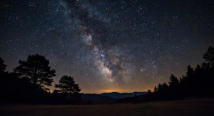 Milky Way Over Forest Trees at Night Starry Landscape View