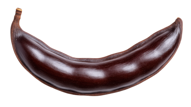 Dried carob pod isolated on transparent background with natural brown texture and curved shape