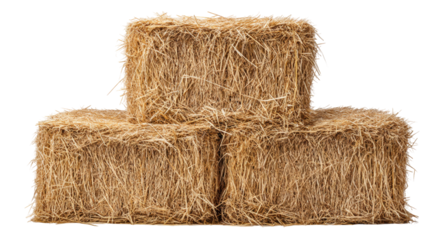 Hay bale isolated on transparent background with natural texture and dry straw