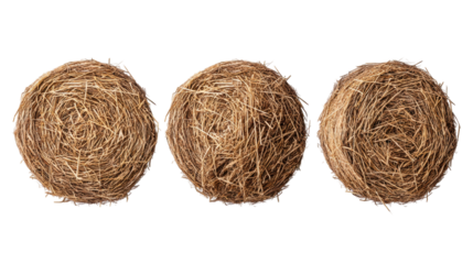 Three isolated round hay bales on transparent background with natural dry straw texture