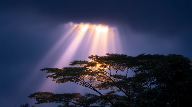 Dramatic sunbeams pierce stormy sky illuminating treetop canopy light rays