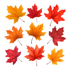 Fototapeta premium Collection of isolated red maple leaves on transparent background