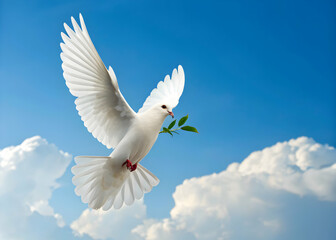 Obraz premium Dove flying with olive branch in blue sky