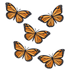 Five monarch butterflies flying in different directions isolated on transparent background