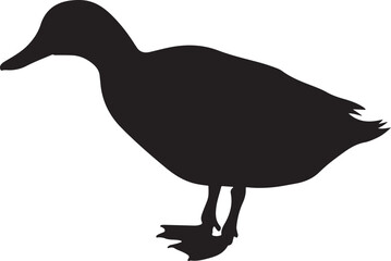 DUCK SILHOUETTE