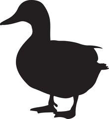 DUCK SILHOUETTE