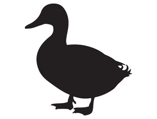 DUCK SILHOUETTE