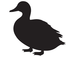 DUCK SILHOUETTE