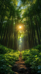 Verdant Bamboo Jungle in a Calm, Natural Environment Wallpaper
