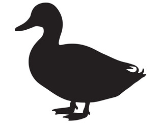 DUCK SILHOUETTE