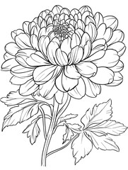 Detailed line drawing of a large flower with leaves for coloring  