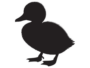 DUCKLING SILHOUETTE