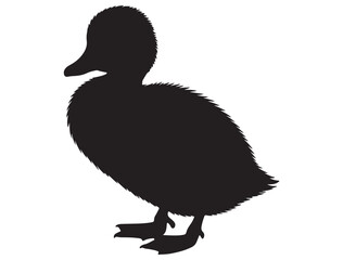 DUCKLING SILHOUETTE