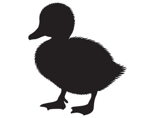 DUCKLING SILHOUETTE