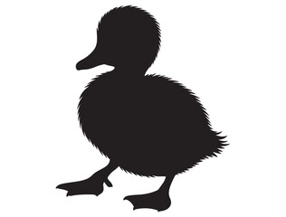 DUCKLING SILHOUETTE