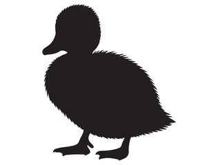 DUCKLING SILHOUETTE