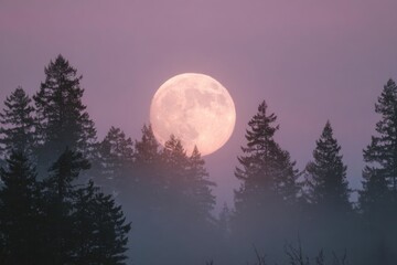 Fototapeta premium Supermoon above tree, scientists background, science background, space background