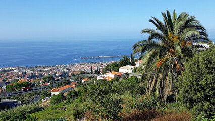 Trek à Madère 2025 - Jour 13 (retour à Funchal, marché au poisson, traîneaux en osier de Madère, fête religieuse)