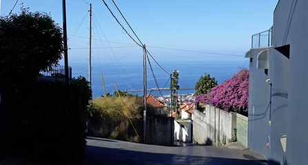 Trek à Madère 2025 - Jour 13 (retour à Funchal, marché au poisson, traîneaux en osier de...
