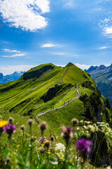 Gratwanderweg Stoos (Klingenstock-Fronalpstock) - swiss alps - switzerland - schweiz 