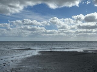 white swan on the beach with the sea