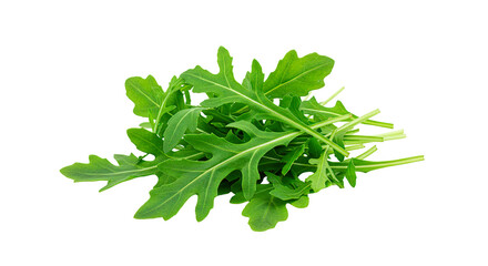 Obraz premium Fresh arugula leaves close up for healthy eating and salad preparation on a dark surface isolated view