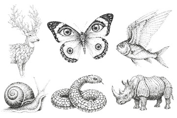 Set of fantastic animals with stipple effect. Contains butterfly, rhinoceros, fish, snake, snail, deer. Detailed and optimised. Resources for creative projects.