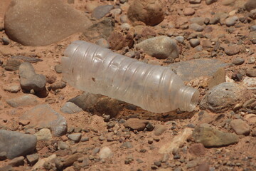 A close-up of a plastic bottle lying on the ground