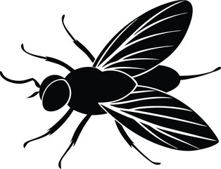 fishing fly on white background.eps